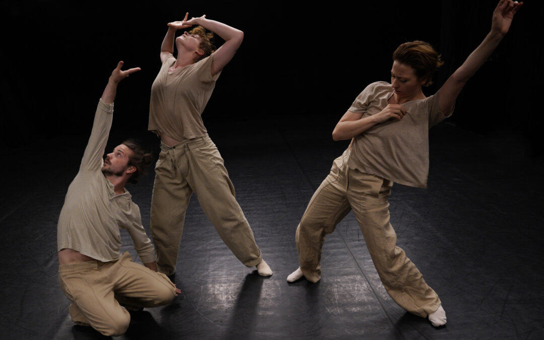 29. Festival Kulturbeutel: NEW DANCES FROM OUR MOVING DELTA